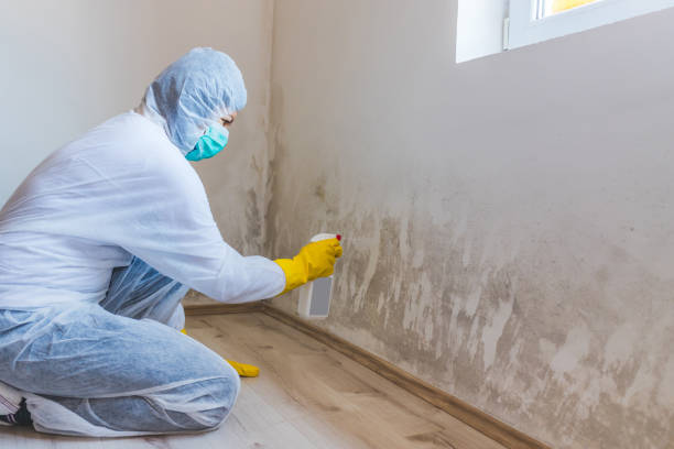 Mold Remediation specialist working in Bennett